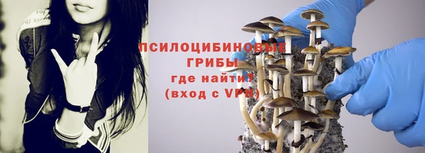 гашик Алзамай