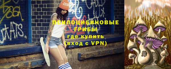 гашик Алзамай