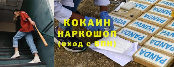 гашик Алзамай